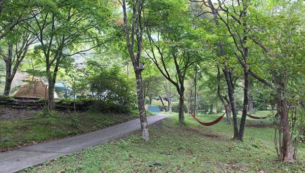 わらび平森林公園キャンプ場