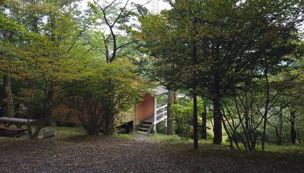 わらび平森林公園キャンプ場