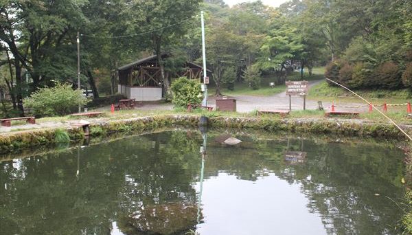 わらび平森林公園キャンプ場