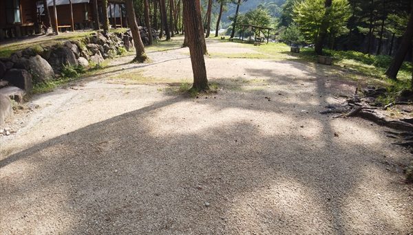 アオミキャンプ場