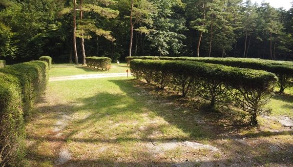 アオミキャンプ場