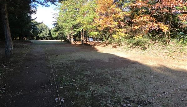 アスパイヤの森