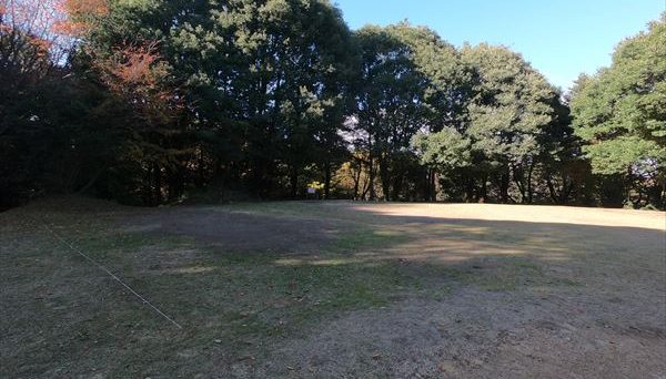 アスパイヤの森