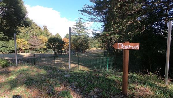 アスパイヤの森