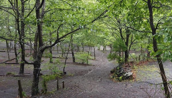 アドベンチャーファミリーオートキャンピング村