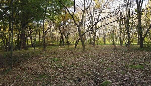 アビルキャンプリゾート那須