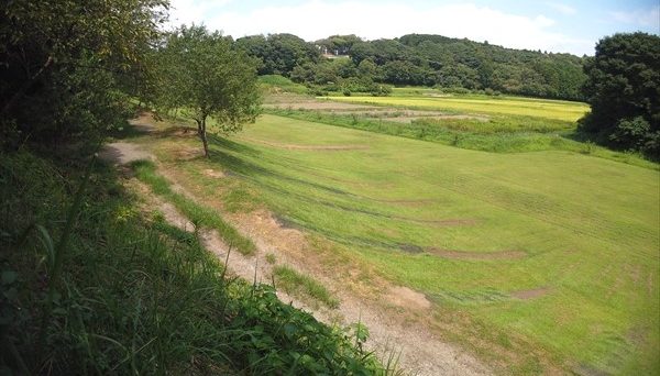 イレブンオートキャンプパーク