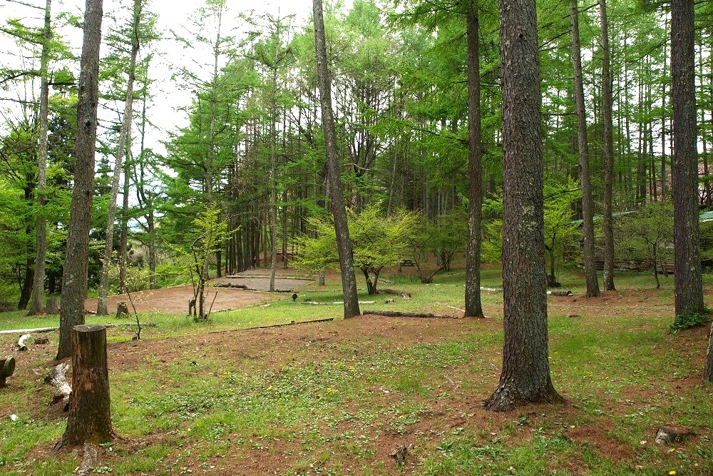 ウッドペッカーキャンプ場