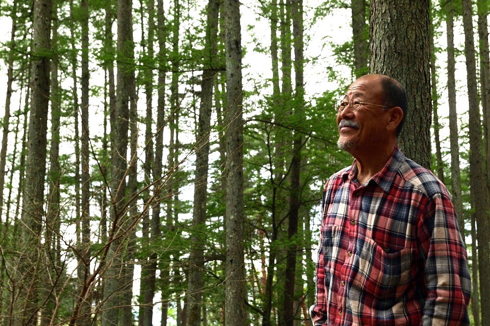 ウッドペッカーキャンプ場