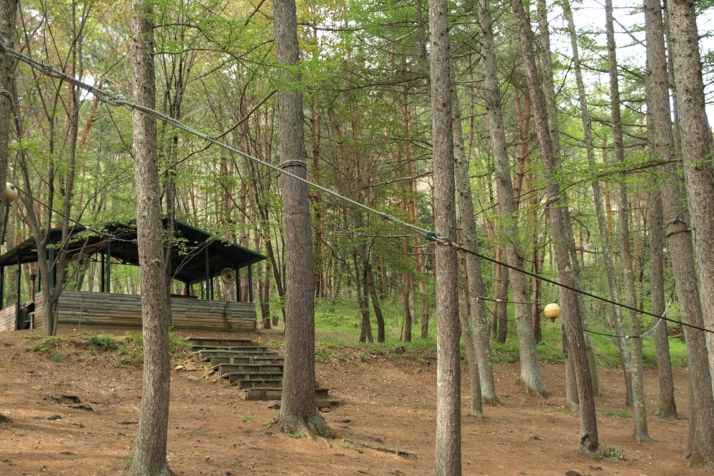 ウッドペッカーキャンプ場