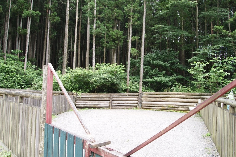 オーキャン宝島