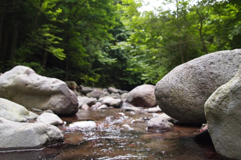 オーキャン宝島