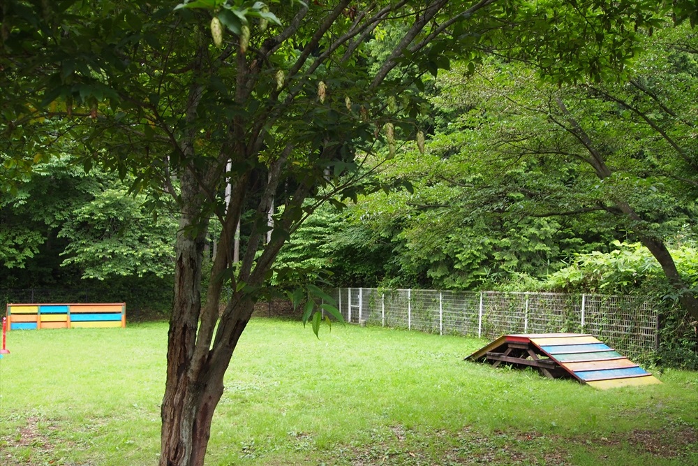 オーキャン宝島