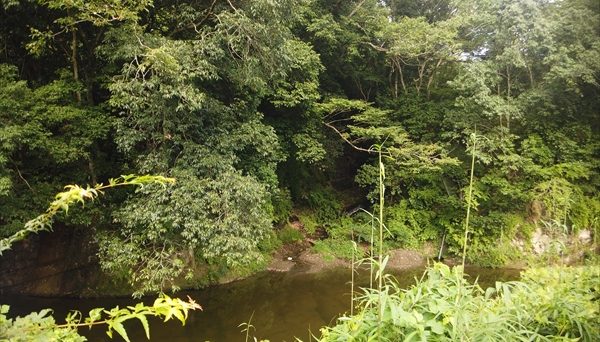 オートキャンプ七里川