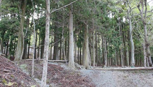 オートキャンプ銀河