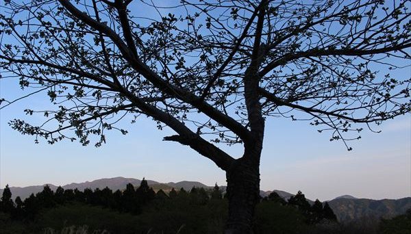 オートキャンプ銀河