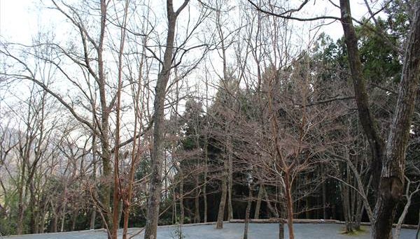 オートキャンプ銀河