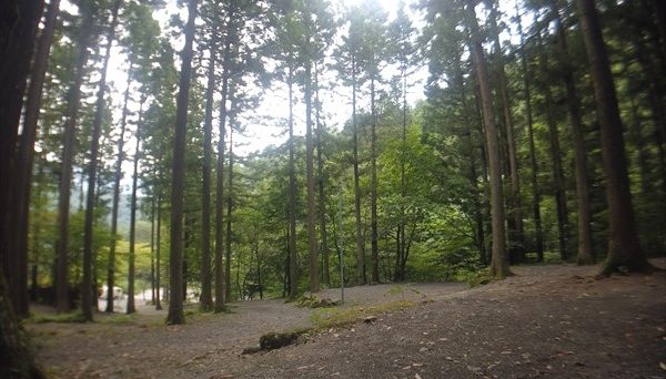 オートキャンプ長又