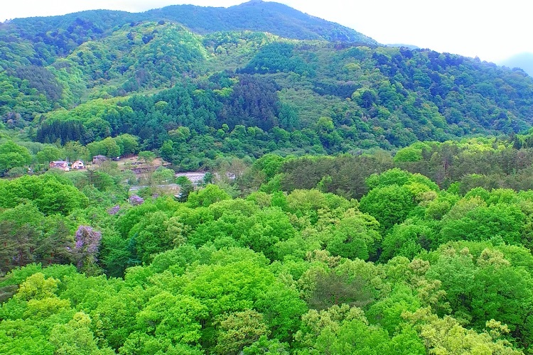 オートリゾートパークビッグランド1