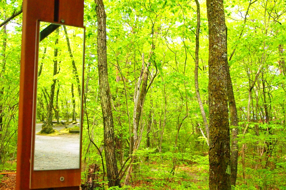 オートリゾートパークビッグランド2