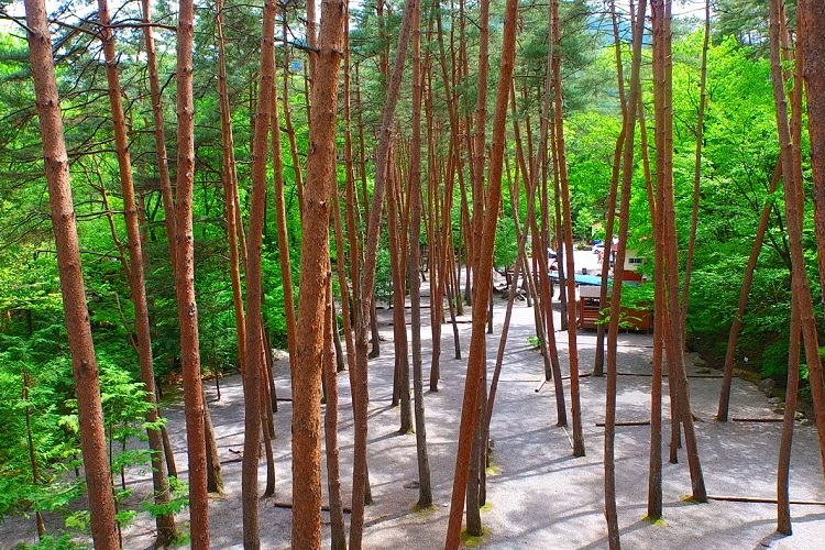 オートリゾートパークビッグランド2