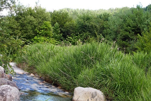 オートリゾートパークビッグランド