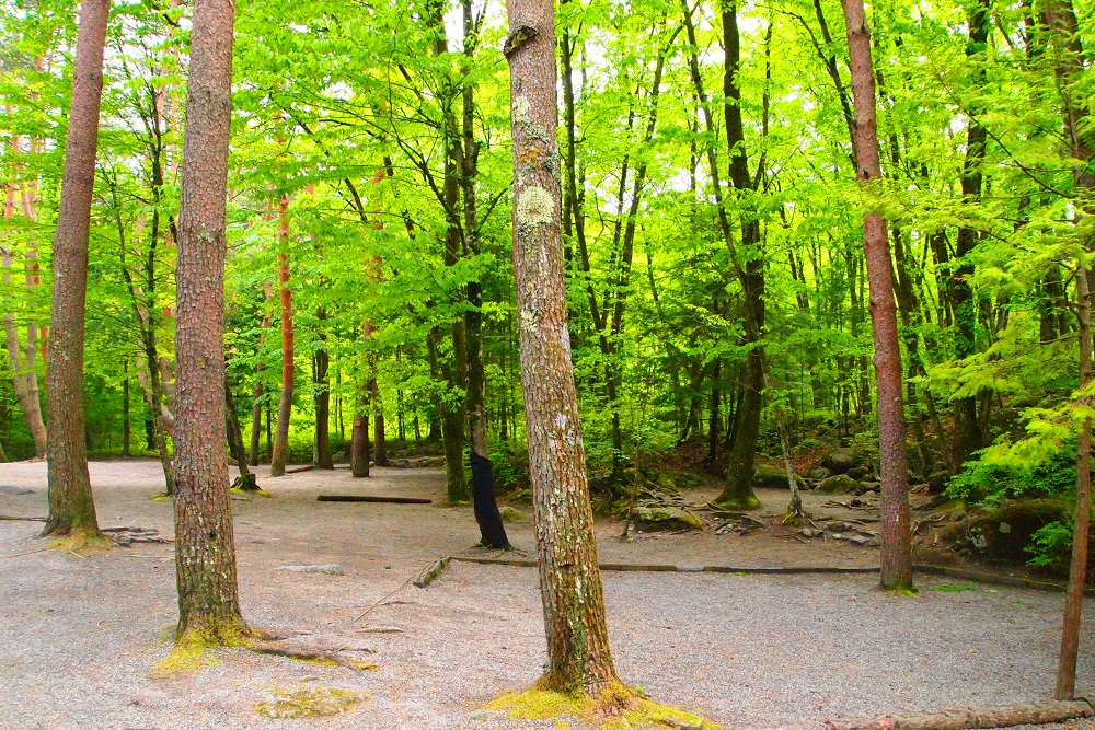 オートリゾートパークビッグランド