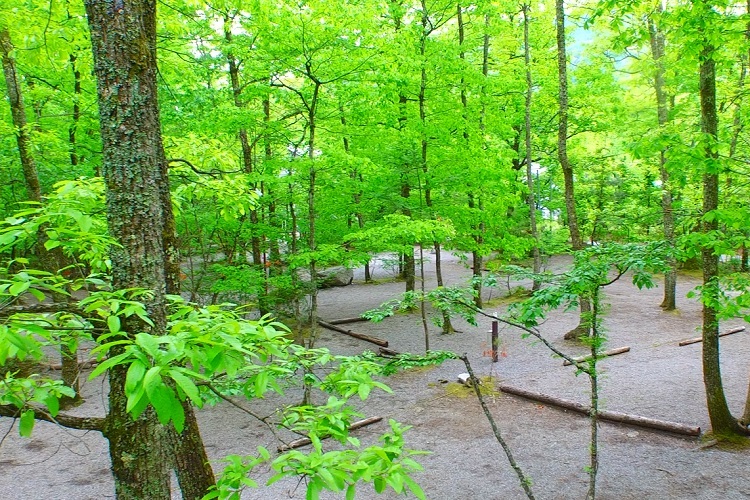 オートリゾートパークビッグランド2