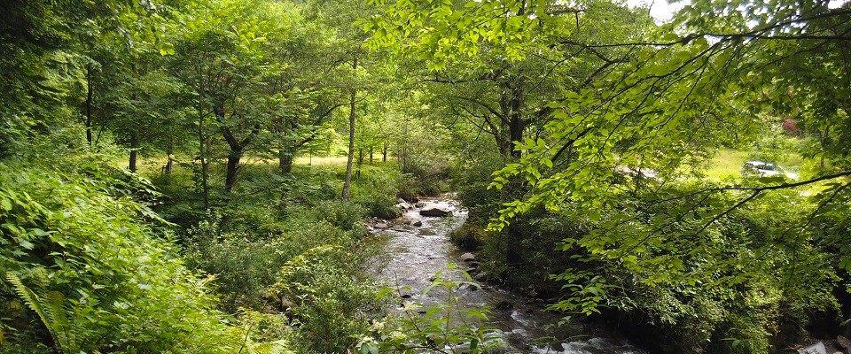 カクレハオートキャンプ場