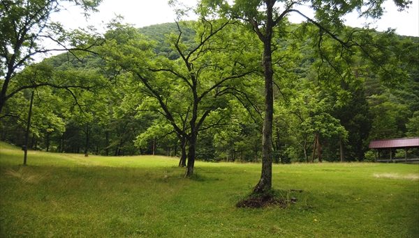 カクレハ高原キャンプ場