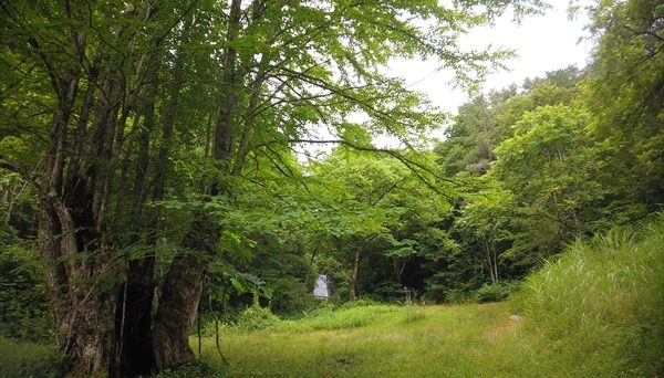 カクレハ高原キャンプ場