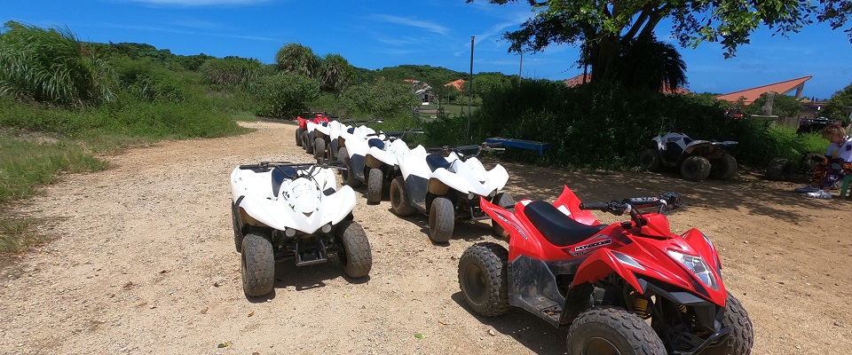 ガジュマルキャンプ