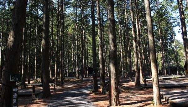 キャンプinn海山