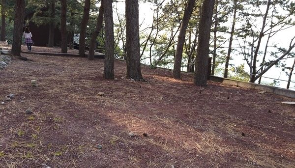 キャンプ黄金崎 キャンプ黄金崎