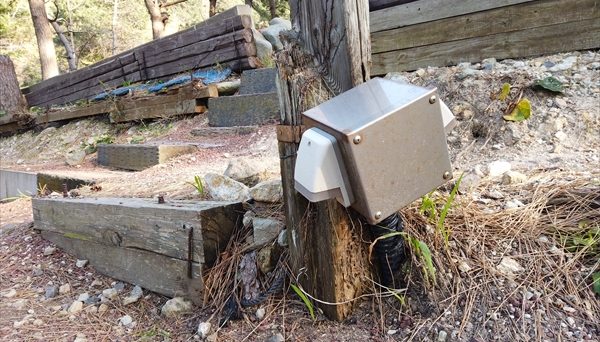 キャンプ黄金崎 キャンプ黄金崎