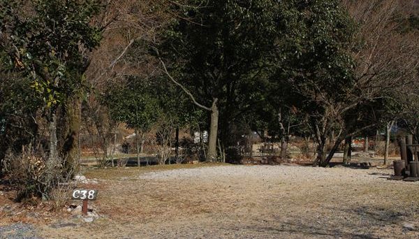 グリーンランドあさけ