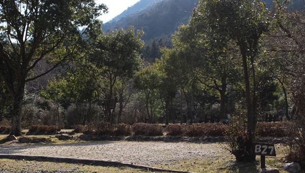 グリーンランドあさけ