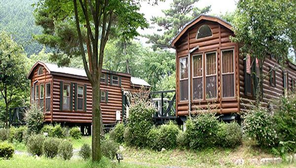 グリーンランドあさけ