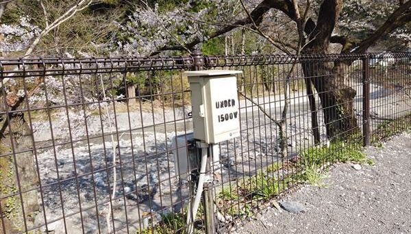 ケニーズ・ファミリー・ビレッジ