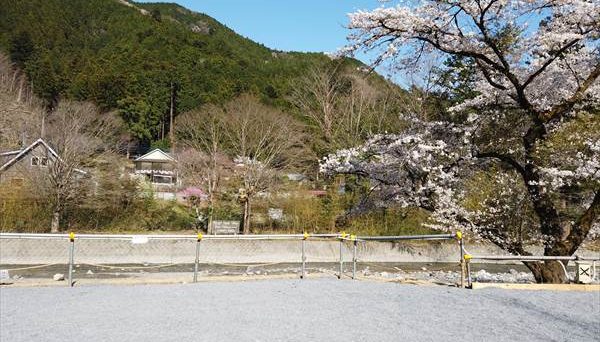 ケニーズ・ファミリー・ビレッジ