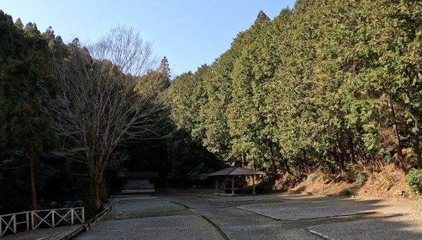 コットンフィールドキャンプ場
