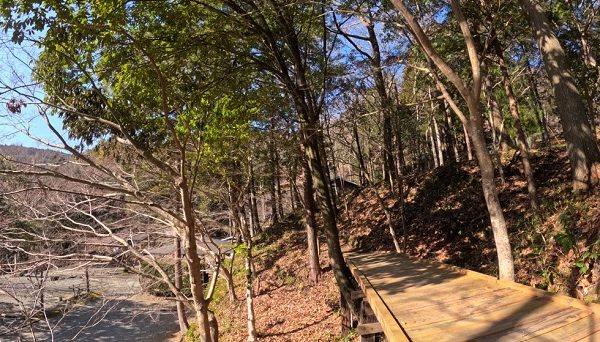 コットンフィールドキャンプ場