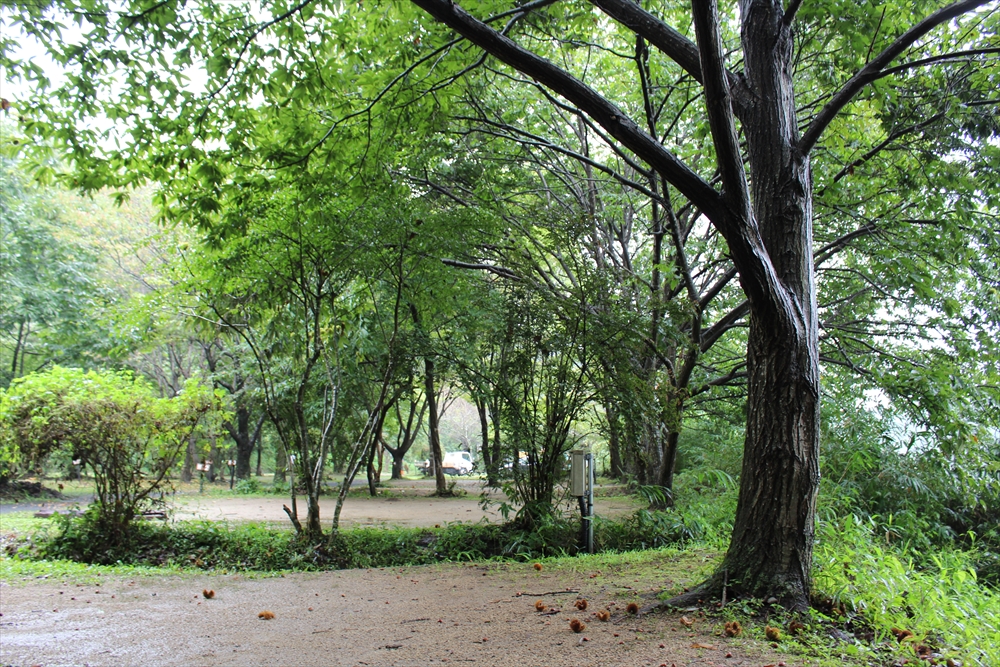 サンタヒルズ空