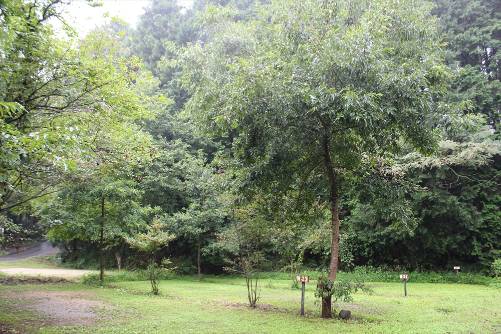 サンタヒルズ空