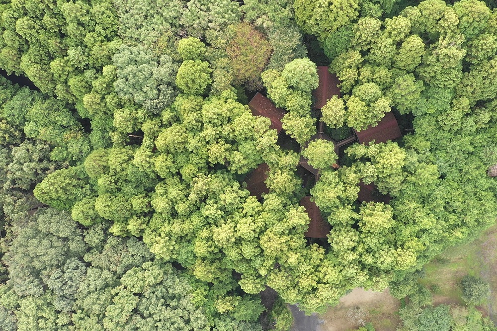 サンタヒルズ空