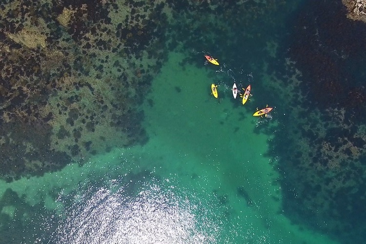 オートキャンプin勝浦まんぼう