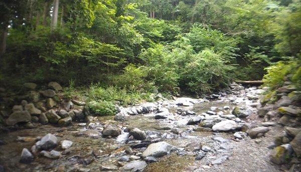 センタービレッジキャンプ場