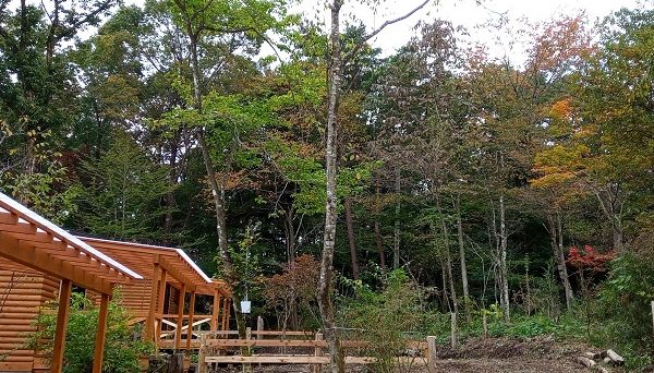 トレイルビレッジ那須