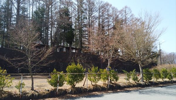 ニューブリッヂキャンプ場