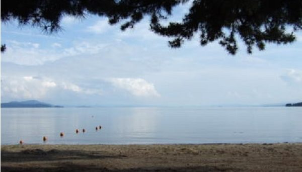 ニュー白浜オートキャンプ場 ニュー白浜オートキャンプ場